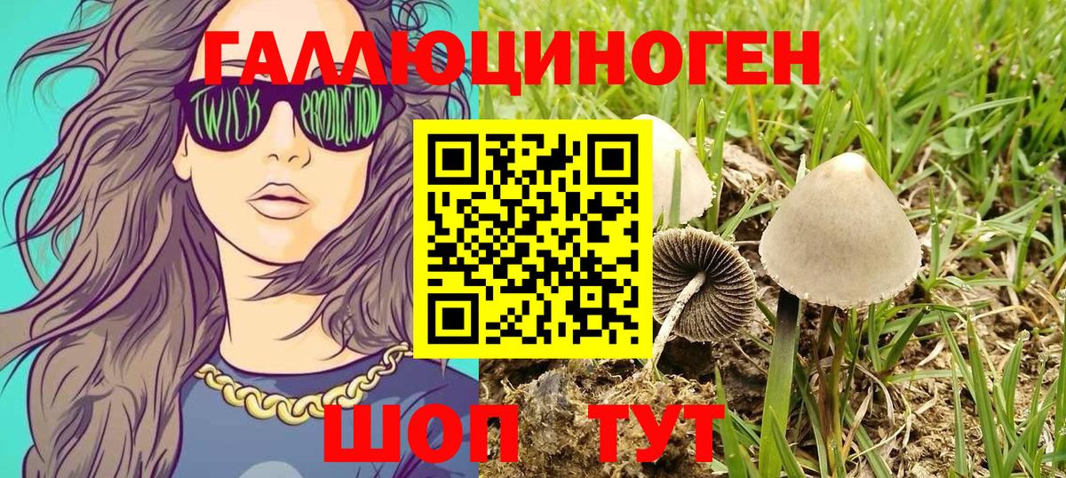 Галлюциногенные грибы мухоморы Хасавюрт
