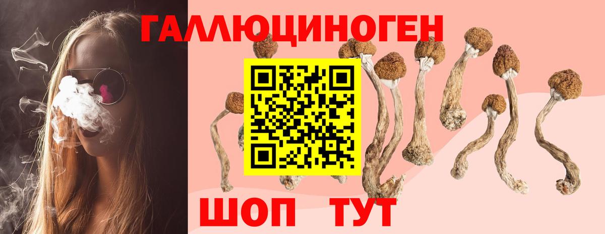 Хасавюрт  Галлюциногенные грибы MAGIC MUSHROOMS  Вход с VPN  Галлюциногенные грибы Magic Shrooms 